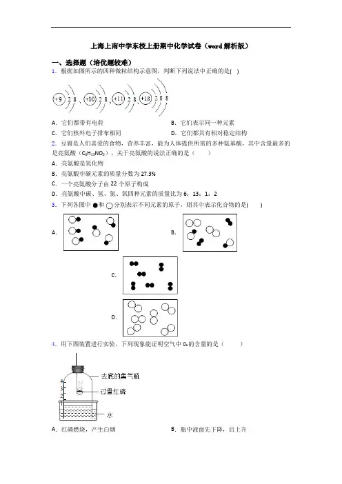 上海上南中学东校初三化学上册期中化学试卷(word解析版)