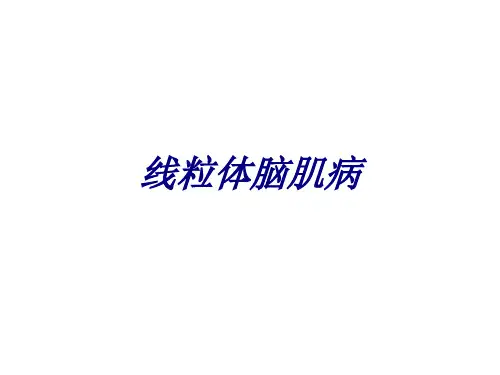 线粒体脑肌病讲义