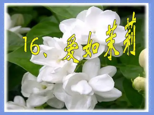五年级下册《爱如茉莉》