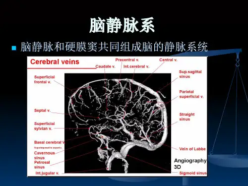 脑血管解剖脑静脉系