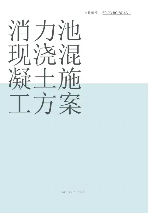 整理消力池现浇混凝土施工方案