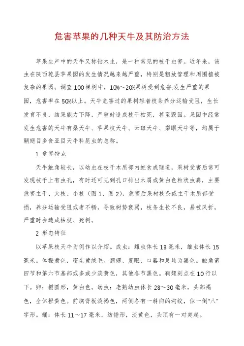 危害苹果的几种天牛及其防治方法