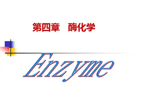 酶