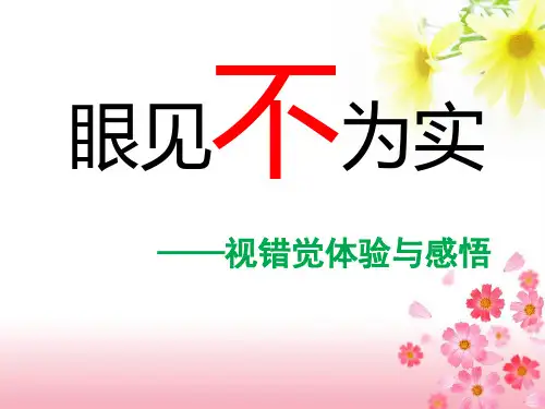 视错觉体验与感悟 课件-高一心理健康