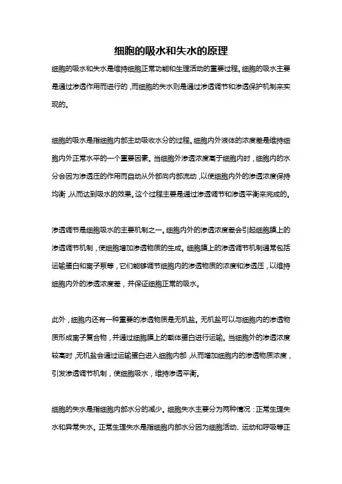 细胞的吸水和失水的原理