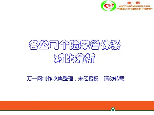 各公司个险荣誉体系概要