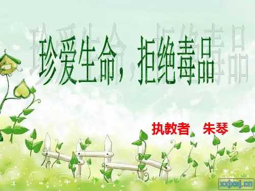 1安全与禁毒教育.ppt