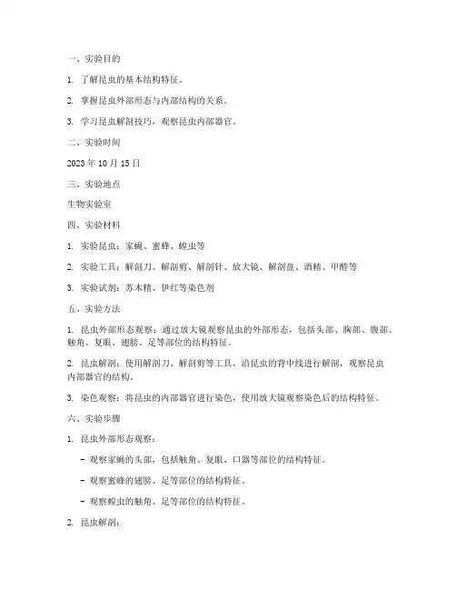 观察昆虫结构实验报告
