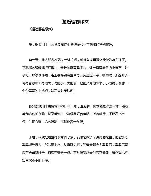 邂逅植物作文
