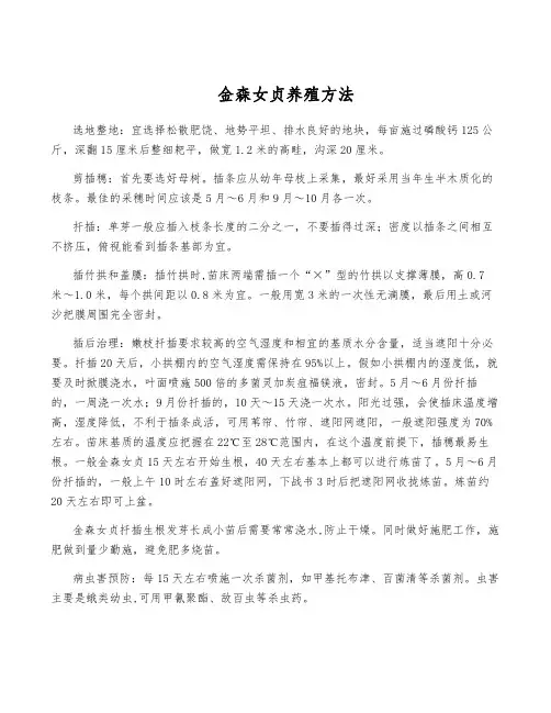 金森女贞养殖方法