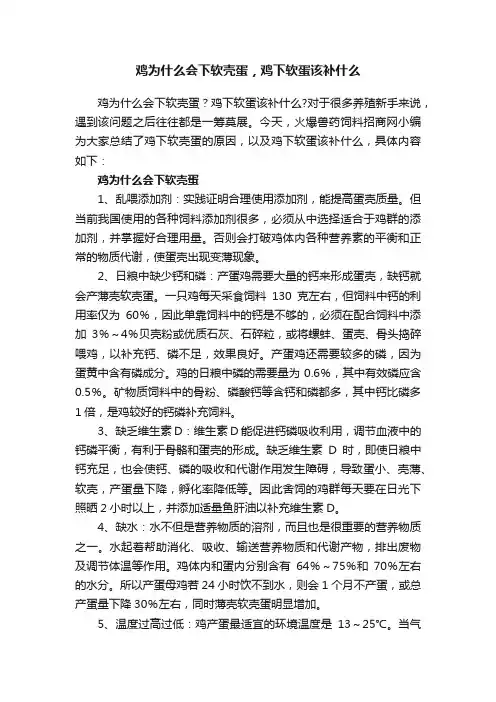 鸡为什么会下软壳蛋，鸡下软蛋该补什么