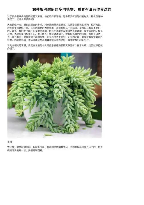 30种相对耐阴的多肉植物，看看有没有你养过的