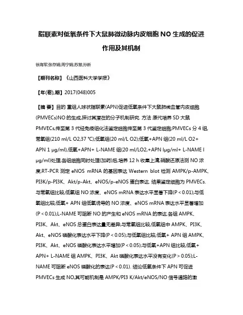 脂联素对低氧条件下大鼠肺微动脉内皮细胞NO生成的促进作用及其机制