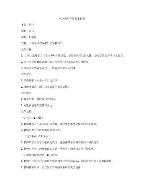 小小少年音乐教案初中