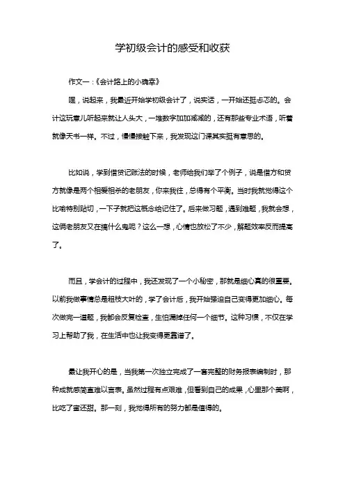 学初级会计的感受和收获