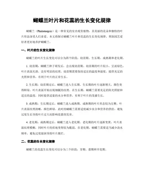 蝴蝶兰叶片和花蕊的生长变化规律