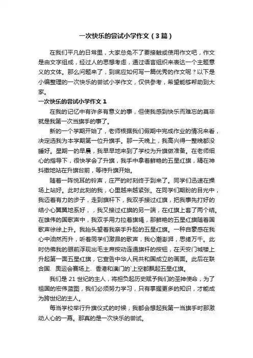 一次快乐的尝试小学作文（3篇）
