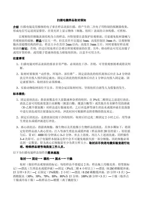 扫描电镜样品取材须知