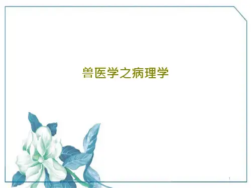 兽医学之病理学课件
