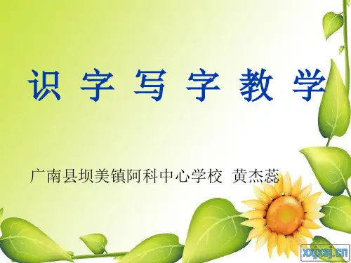 识字写字教学课件 (1)