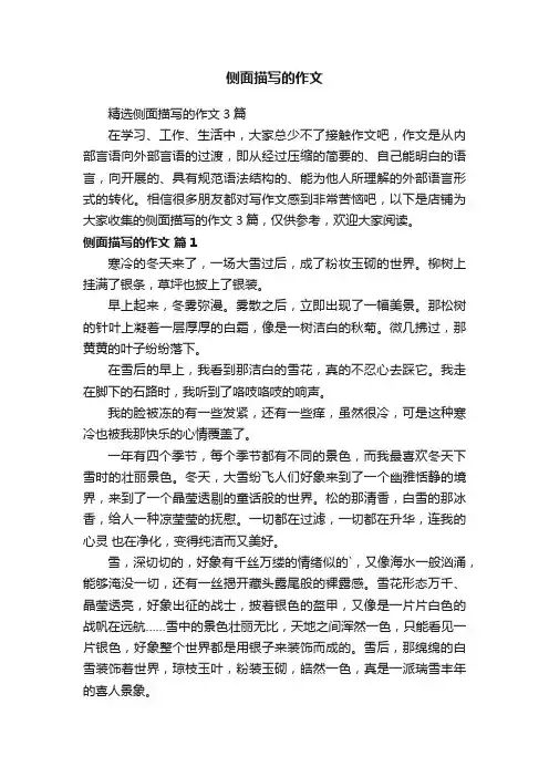 侧面描写的作文