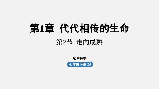 浙教版七年级科学下册课件 第一章 第2节 走向成熟