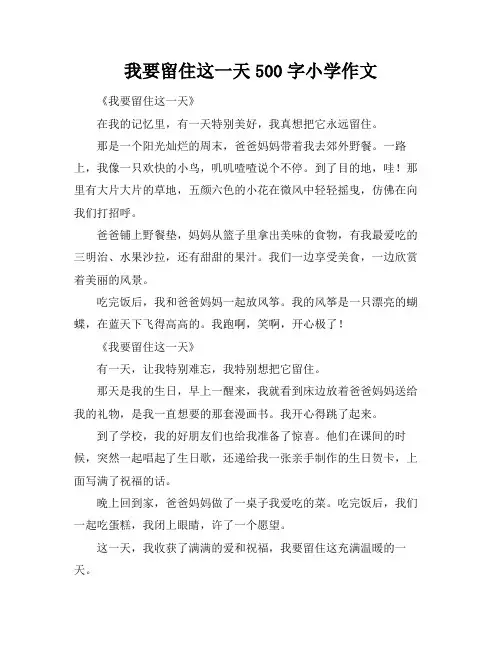 我要留住这一天500字小学作文