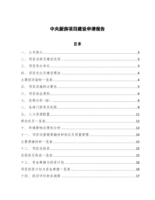 中央厨房项目建设申请报告