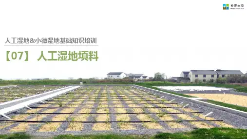 人工湿地填料的种类及选择