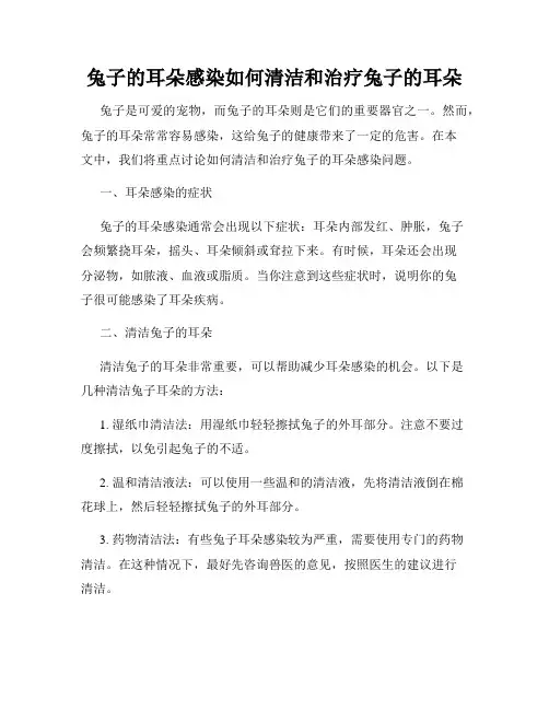 兔子的耳朵感染如何清洁和治疗兔子的耳朵
