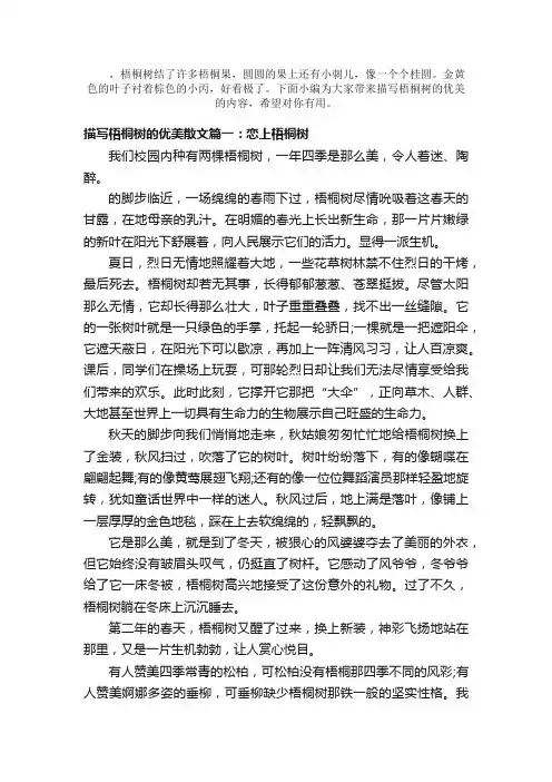 散文：描写梧桐树的优美散文