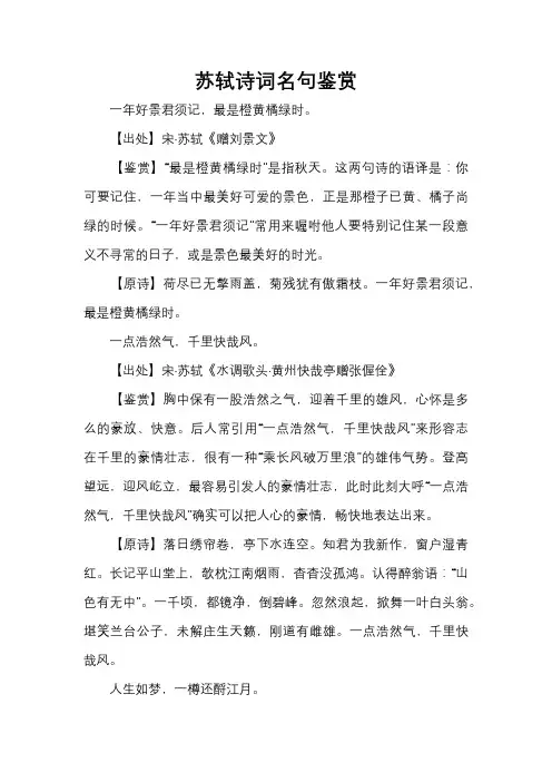 苏轼诗词名句鉴赏