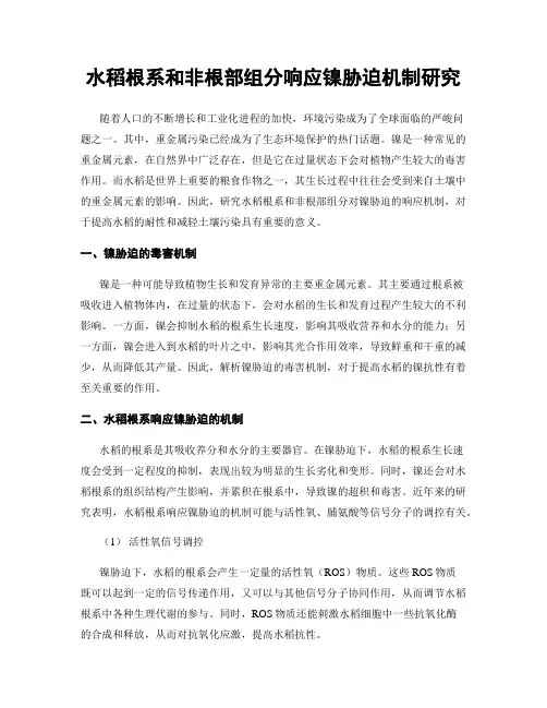 水稻根系和非根部组分响应镍胁迫机制研究