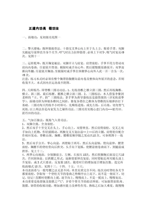 正道内功高级功法