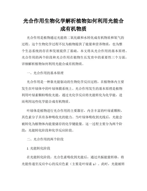 光合作用生物化学解析植物如何利用光能合成有机物质
