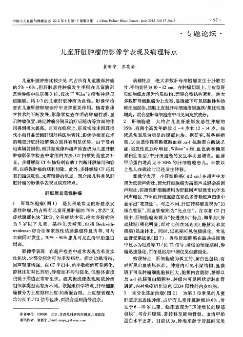 儿童肝脏肿瘤的影像学表现及病理特点