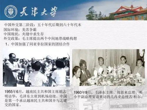 中特中国外交方针第二阶段