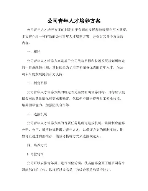 公司青年人才培养方案