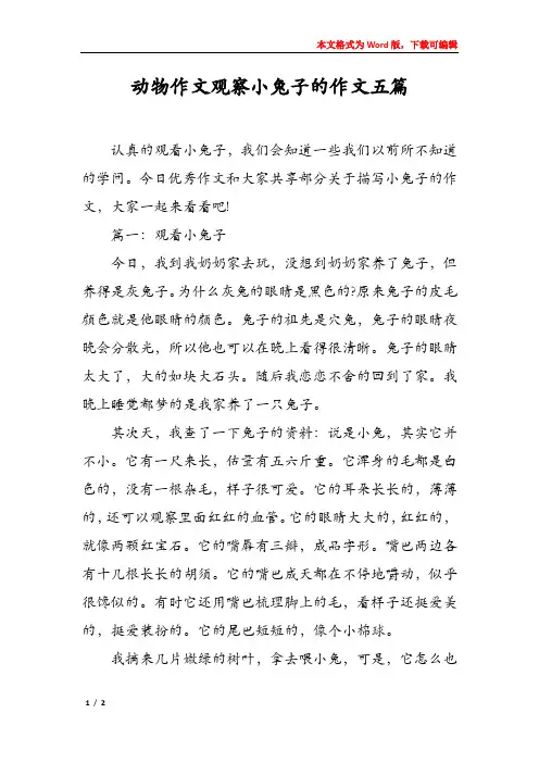 动物作文观察小兔子的作文五篇