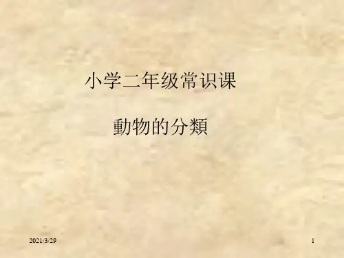 二年级科学(课堂PPT)