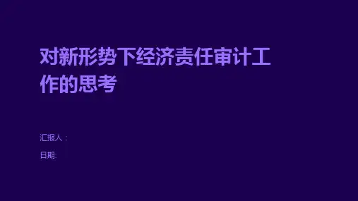 对新形势下经济责任审计工作的思考