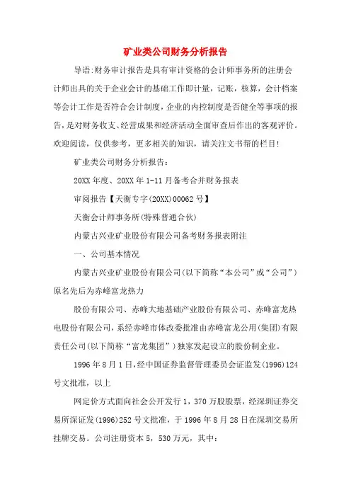 2019年矿业类公司财务分析报告