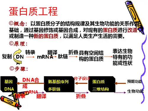 【生物】2.1植物细胞工程课件(人教版选修3)
