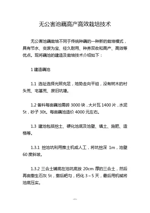 无公害池藕高产高效栽培技术