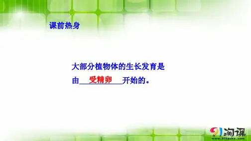 课件1：3.2.3开花和结果