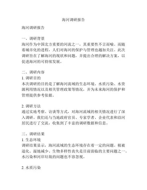 海河调研报告