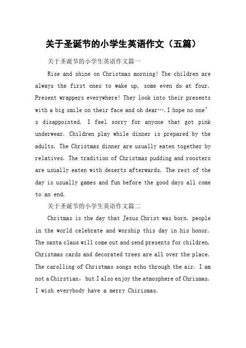 关于圣诞节的小学生英语作文(五篇)