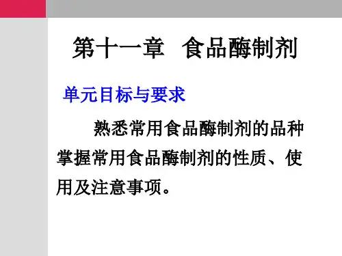 食品添加剂10食品酶制剂 共31页