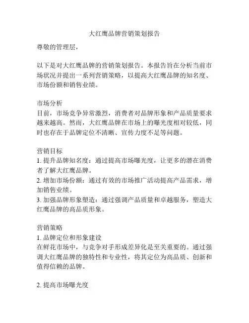 大红鹰品牌营销策划报告