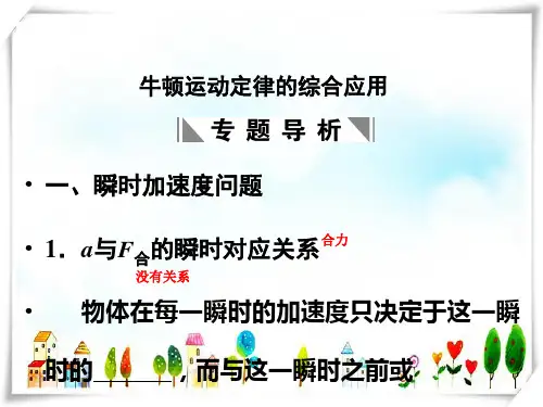 高考物理一轮复习课件专题三：牛顿运动定律的综合应用